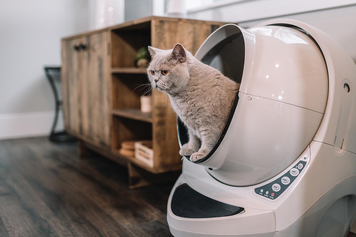 Technik Zu Hause Praxistest Litter Robot 3 Connect Technik Zu Hause Praxistest Litter Robot 3 Connect