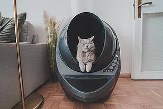 litter robot 3 app