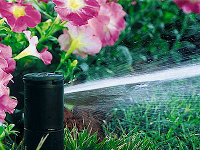 Wurfweite und Wasserverbrauch des automatischen Regners werden vorab genau berechnet, sodass eine gleichmäßige Bewässerung des gesamten Gartens gewährleistet ist<br>(Fotos: Rainbird)