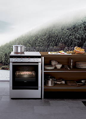 Elegantes Design und hohe Funktionalität zeichnen die Standherde aus<br>(Fotos: Siemens)
