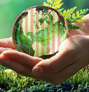 Rommelsbacher setzt mit Reparaturfreundlichkeit Zeichen für gelebte Nachhaltigkeit