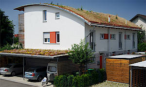 Pflanzen wachsen fast überall. Das machen sich Inhaber von begrünten Dächern zunutze. (Fotos: Fachvereinigung Bauwerksbegrünung)