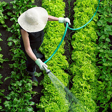 Laut der Ergebnisse des Global Green Space Reports glauben 67 Prozent der deutschen Befragten, dass Aufenthalte in der Natur bei der Überwindung von Konzentrationsproblemen helfen. Der Wunsch nach der Einbindung von Natur in den Arbeitsalltag wird daher immer größer.
