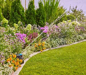 Mit pflegeleichten Pflanzen und cleverer Technik entsteht ein lebendiger Garten, der bunt, widerstandsfähig und attraktiv für viele tierische Besucher ist