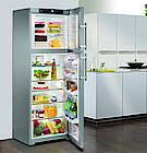 Kühl- und Gefrierkombination mit Aufsteckleisten (Fotos: Liebherr)