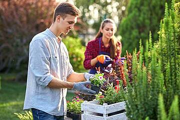 Auf torfhaltige Blumenerden zu verzichten, ist recht einfach. Schon heute gibt es zahlreiche torffreie Alternativen - der Umwelt zuliebe