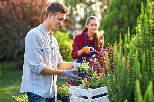 Auf torfhaltige Blumenerden zu verzichten, ist recht einfach. Schon heute gibt es zahlreiche torffreie Alternativen - der Umwelt zuliebe