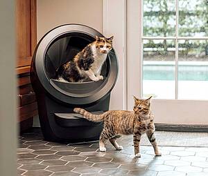 Geeignet für bis zu vier Katzen