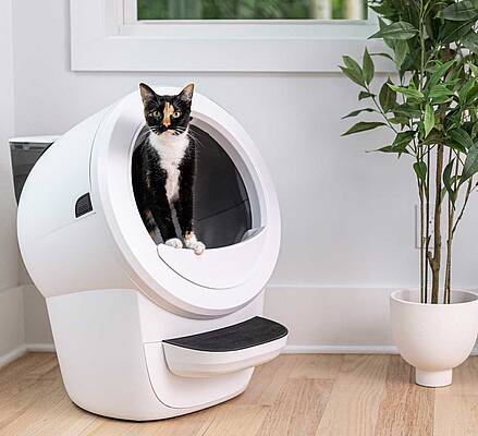 Der Litter-Robot 4 ist ein automatisches, selbstreinigendes Katzenklo und verspricht mehr Hygiene, Komfort und weniger Stress – sowohl für Mensch als auch Tier