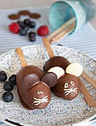 Im Handumdrehen lassen sich in der Städter Backform fantasievolle Eis Lollies herstelllen. Zum Dahinschmelzen schön - die kleinen Eismäuse