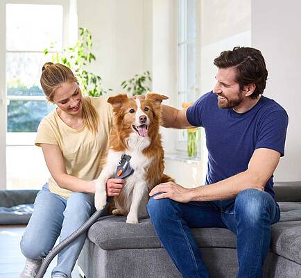 Das neue Fellpflege-Set als perfekte Ergänzung für alle THOMAS Tierliebhaber-Staubsauger