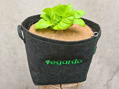 Über 20 verschiedene Gemüsesorten bietet Vegardo über das Jahr verteilt an