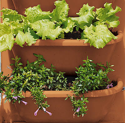 Der "Vertikale Garten" lässt sich mit wenigen Handgriffen als Blickfang und Vitaminspender auf Balkon und Terrasse bei kleinstem Platzbedarf aufbauen, die durchdachte Bewässerung sorgt bei wenig Aufwand für tolle Pflanzergebnisse