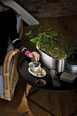 Der WMF Ambient Kräuter@Home fasst zwei Töpfe
