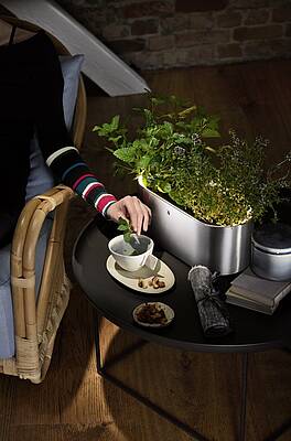 Der WMF Ambient Kräuter@Home fasst zwei Töpfe