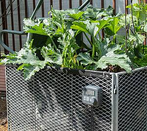 Ideal für Beete, Hochbeete und Topfpflanzen an Brüstungen oder auf dem Balkon, versorgt bis zu 15 Pflanzen gleichzeitig mit Wasser
