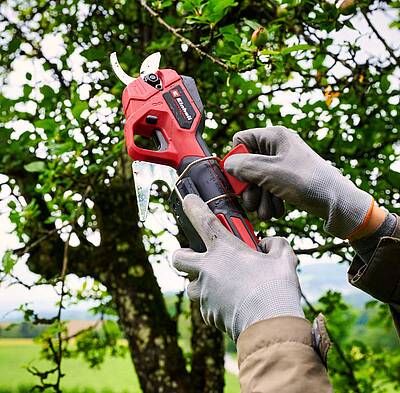 Akku-Astschere GP-LS 18/28 Li T BL mit Teleskopstil aus der Power X-Change Plattform für präzise Schnitte auch an hochgewachsenen oder schwer erreichbaren Stellen